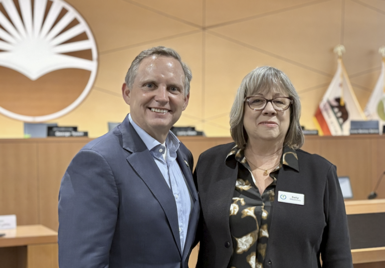 Chair and Vice Chair